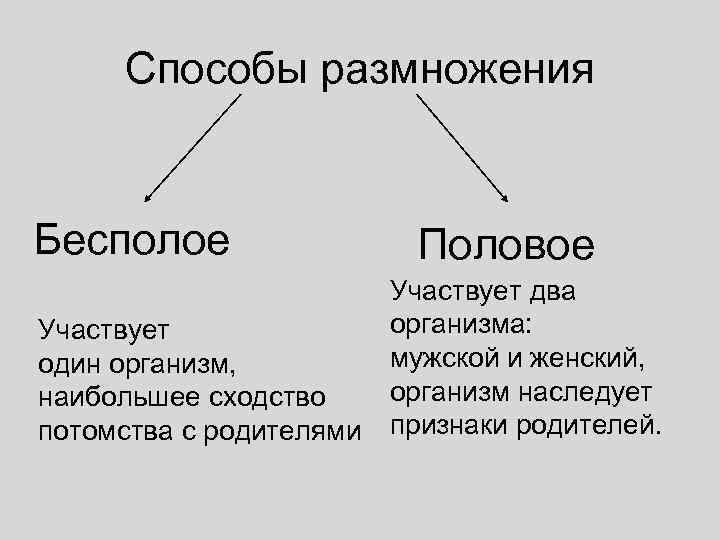  Способы размножения  Бесполое   Половое     Участвует два