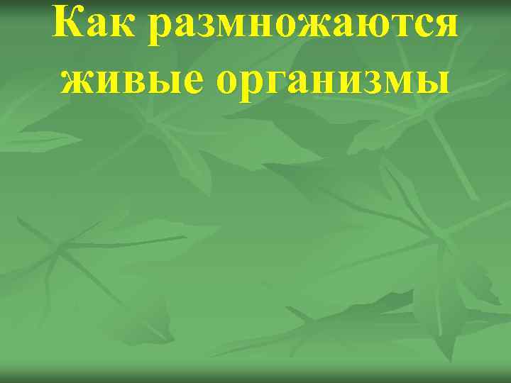 Как размножаются живые организмы 