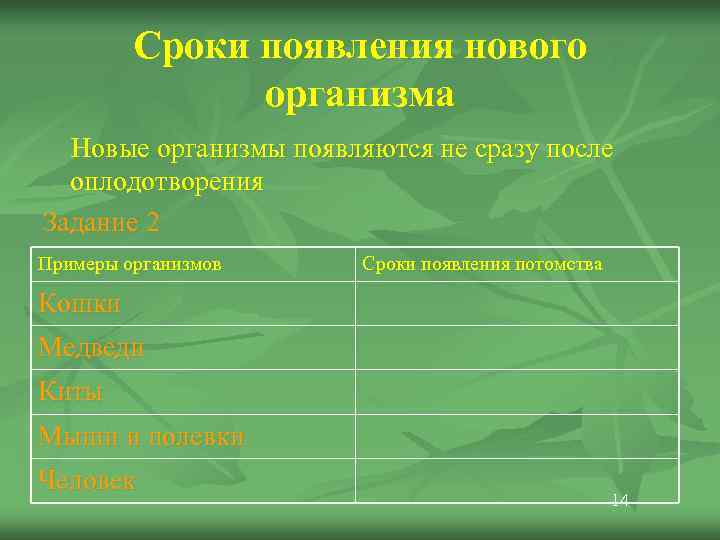    Сроки появления нового    организма  Новые организмы появляются