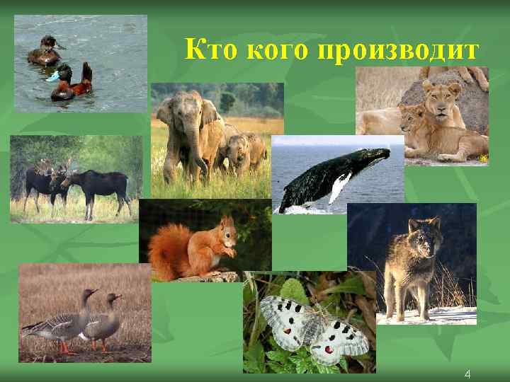 Кто кого производит     4 