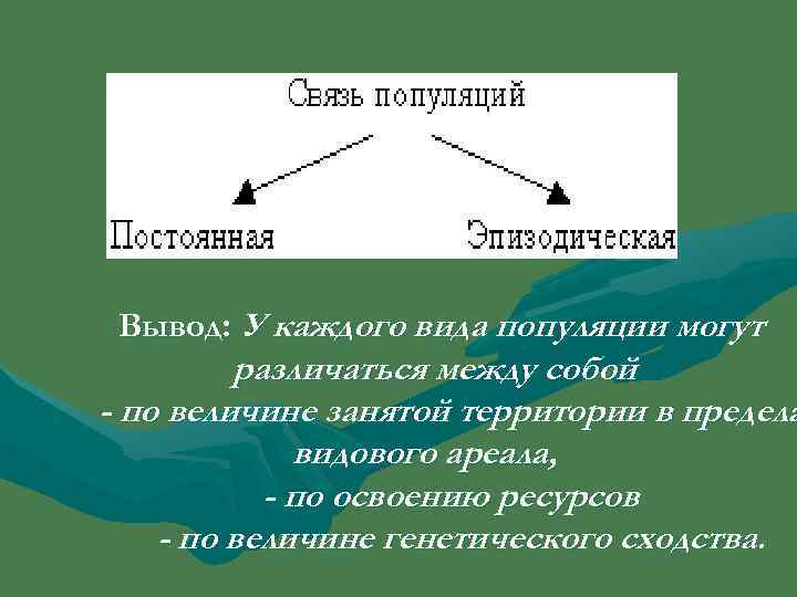 Постоянная связь. Взаимосвязь отдельных популяций. Примеры постоянной связи популяций. Эпизодическая связь популяций. Постоянные популяции примеры.