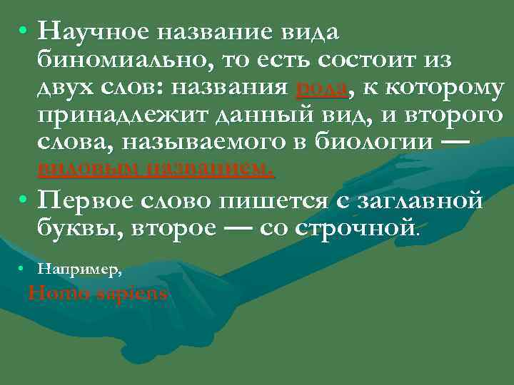  • Научное название вида  биномиально, то есть состоит из  двух слов: