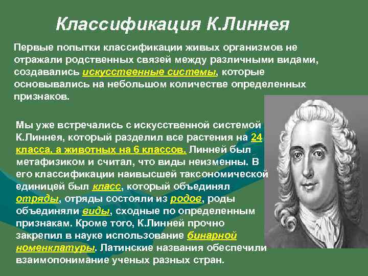 5 класс ознакомление с принципами систематики организмов