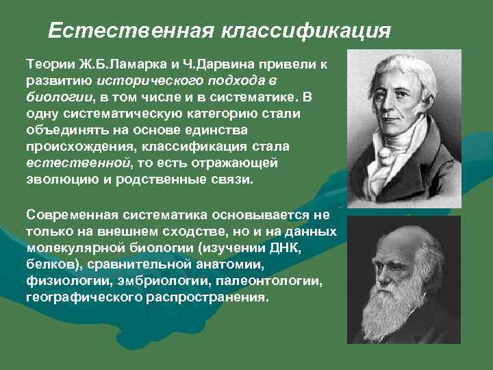 Теория классификации