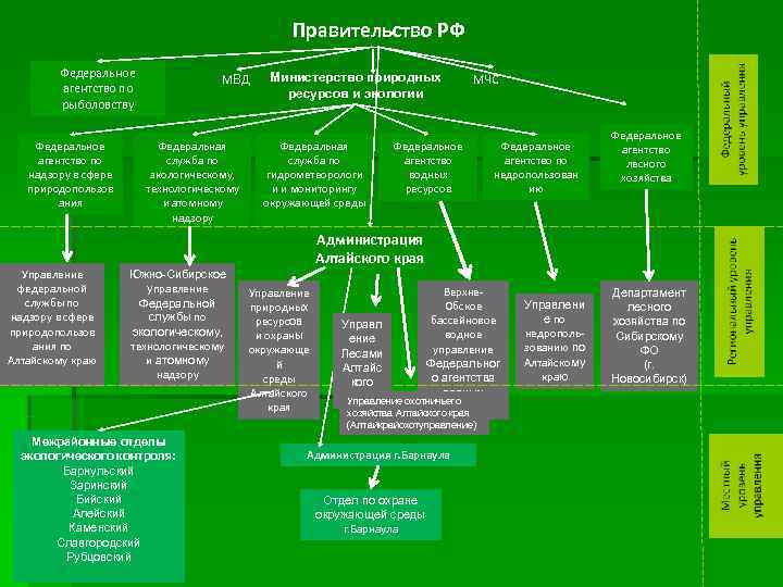 Органы окружающей среды. Схема органов экологического управления. Функции органов экологического управления. Структура органов управления экологии. Система органов государственного экологического управления таблица.