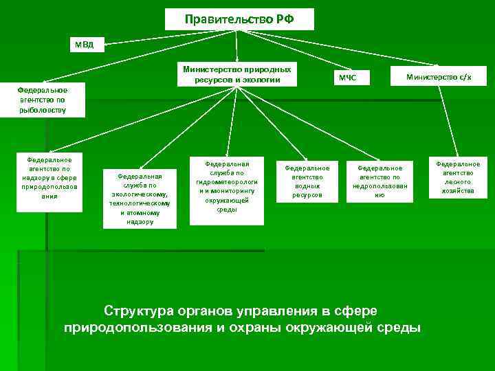 Управление в области охраны окружающей среды схема