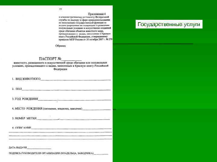 Государственные услуги Государственные услуги