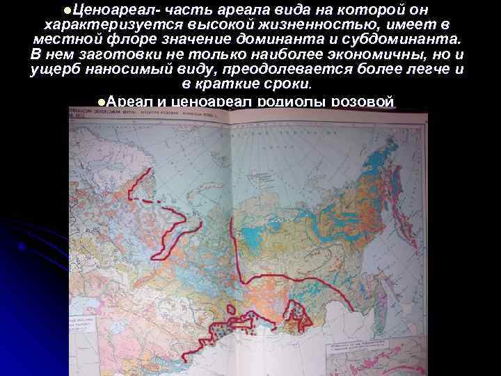   l. Ценоареал- часть ареала вида на которой он  характеризуется высокой жизненностью,