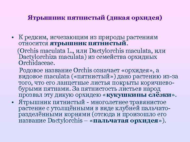  Ятрышник пятнистый (дикая орхидея)  • К редким, исчезающим из природы растениям 