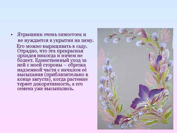  • Ятрышник очень зимостоек и  не нуждается в укрытии на зиму. 