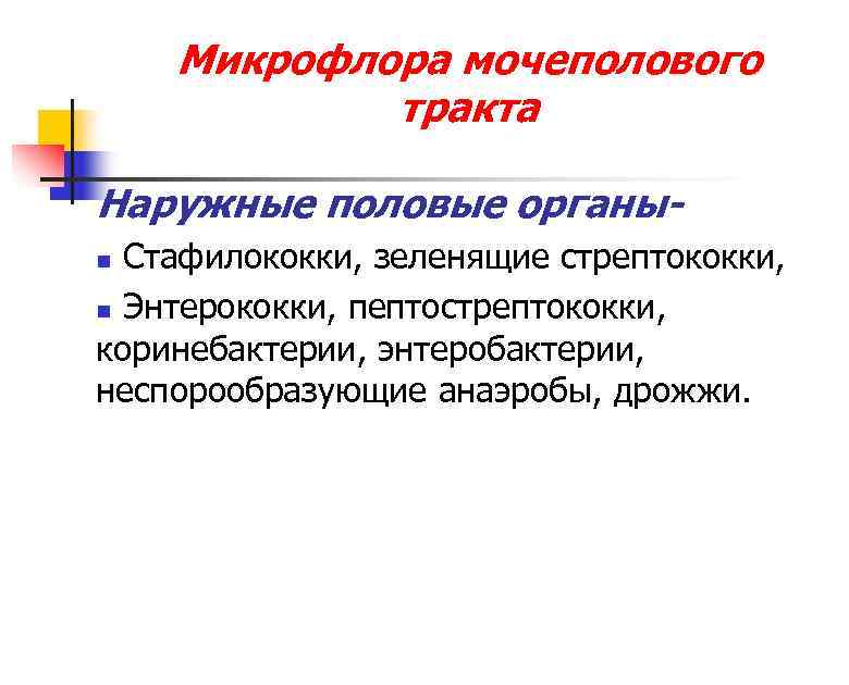   Микрофлора мочеполового   тракта Наружные половые органы- n Стафилококки, зеленящие стрептококки,