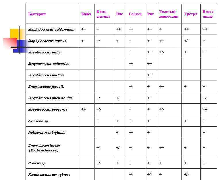       Конъ      Толстый 