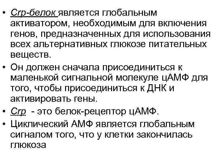  • Crp-белок является глобальным  активатором, необходимым для включения  генов, предназначенных для