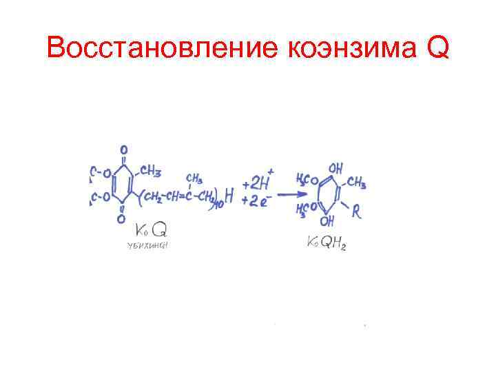 Восстановление коэнзима Q 