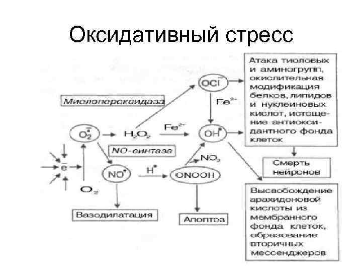 Окислительный стресс картинки