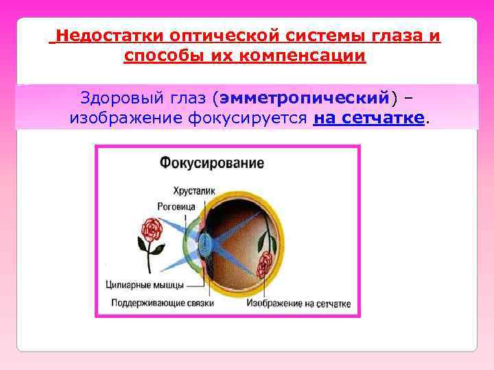 Недостатки оптической системы глаза и  способы их компенсации  Здоровый глаз (эмметропический) –