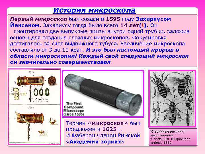    История микроскопа Первый микроскоп был создан в 1595 году Захариусом Йансеном.