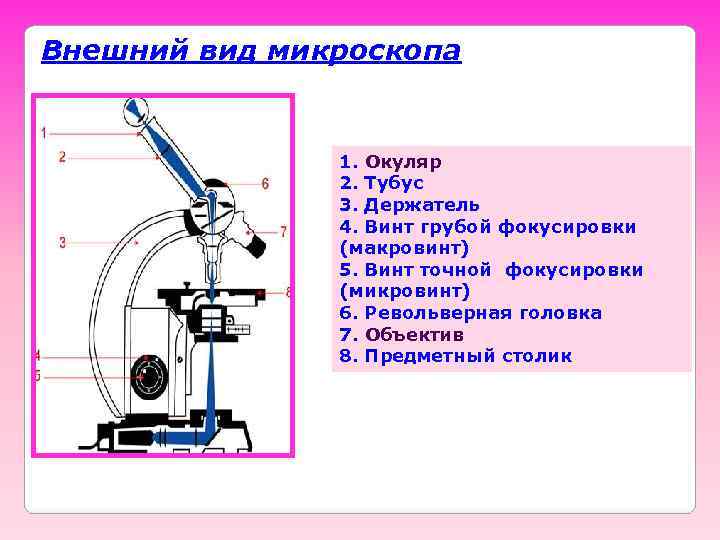 Внешний вид микроскопа   1. Окуляр    2. Тубус  