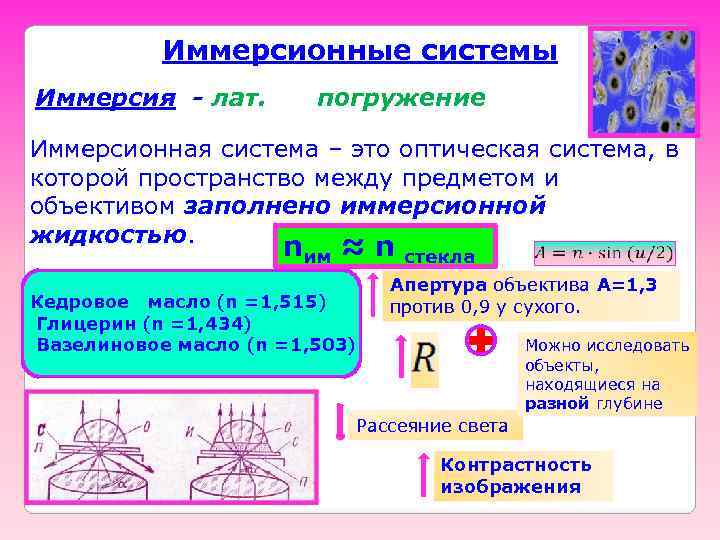   Иммерсионные системы Иммерсия - лат.   погружение Иммерсионная система – это