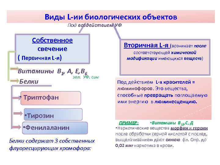 Виды L-ии биологических объектов Под воздействием УФ Виды L-ии биологических объектов Под воздействием УФ