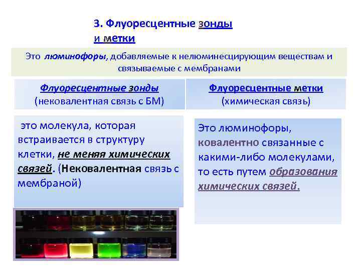 3. Флуоресцентные зонды и метки Это люминофоры, добавляемые 3. Флуоресцентные зонды и метки Это люминофоры, добавляемые