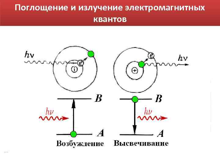 Поглощение и излучение электромагнитных квантов Поглощение и излучение электромагнитных квантов
