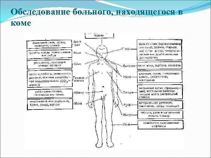 Коматозные состояния презентация