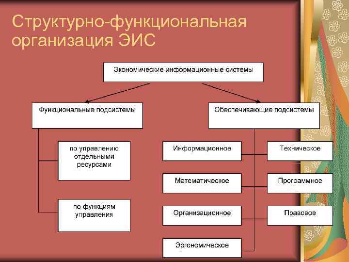 Структурно-функциональная  организация ЭИС 