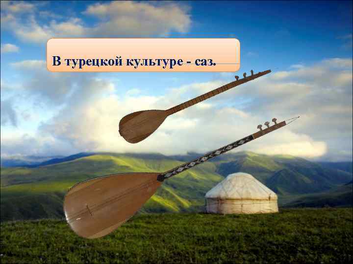 В турецкой культуре - саз. 