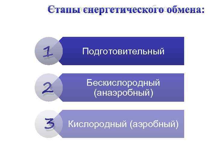 Этапы энергетического обмена: 1 Подготовительный  Бескислородный 2  (анаэробный)  3  Кислородный