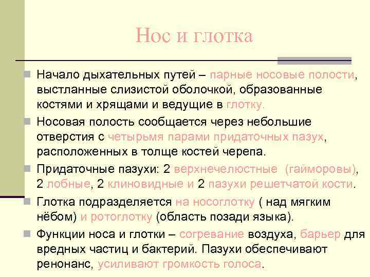 Нос и глотка n Начало дыхательных путей – парные носовые Нос и глотка n Начало дыхательных путей – парные носовые
