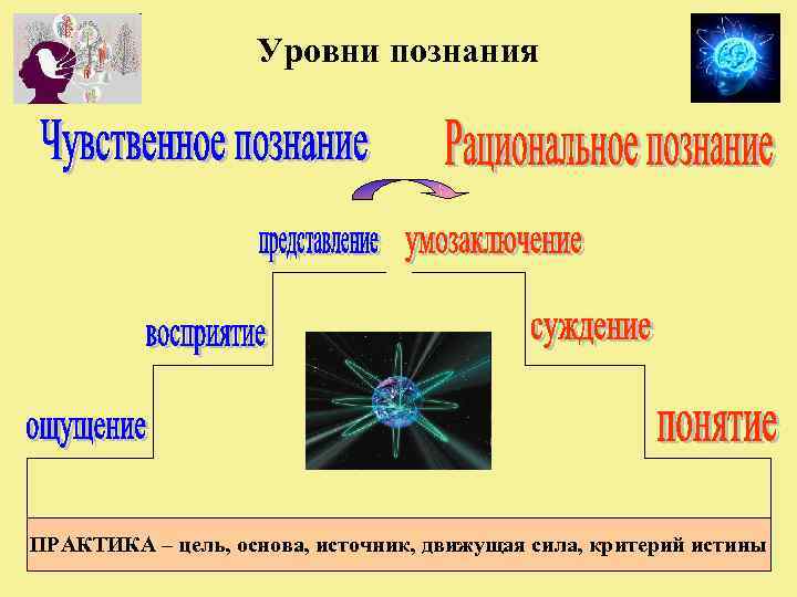     Уровни познания ПРАКТИКА – цель, основа, источник, движущая сила, критерий