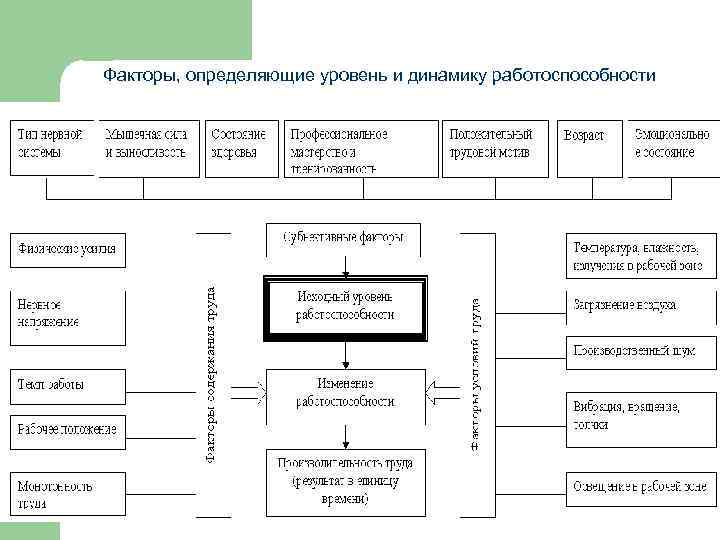Факторы, определяющие уровень и динамику работоспособности 