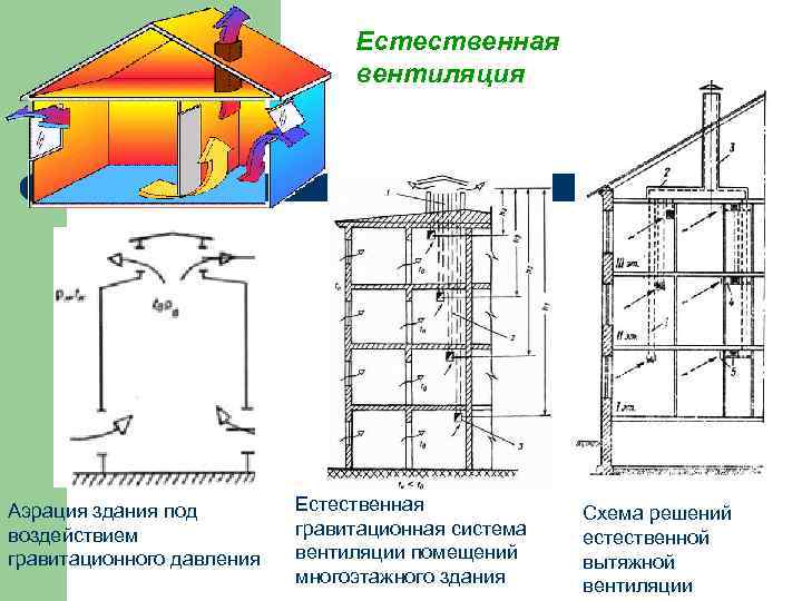        Естественная      