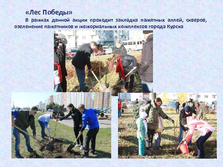   «Лес Победы» В рамках данной акции проходит закладка памятных аллей, скверов, озеленение