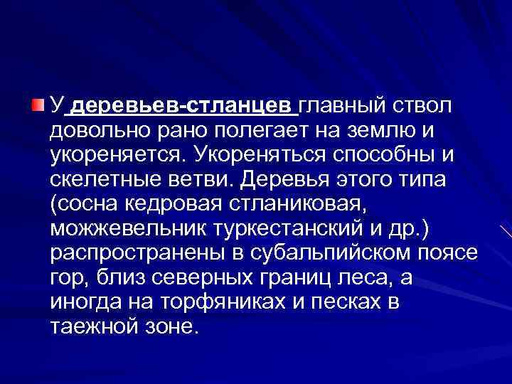 У деревьев-стланцев главный ствол довольно рано полегает на землю и укореняется. Укореняться способны и