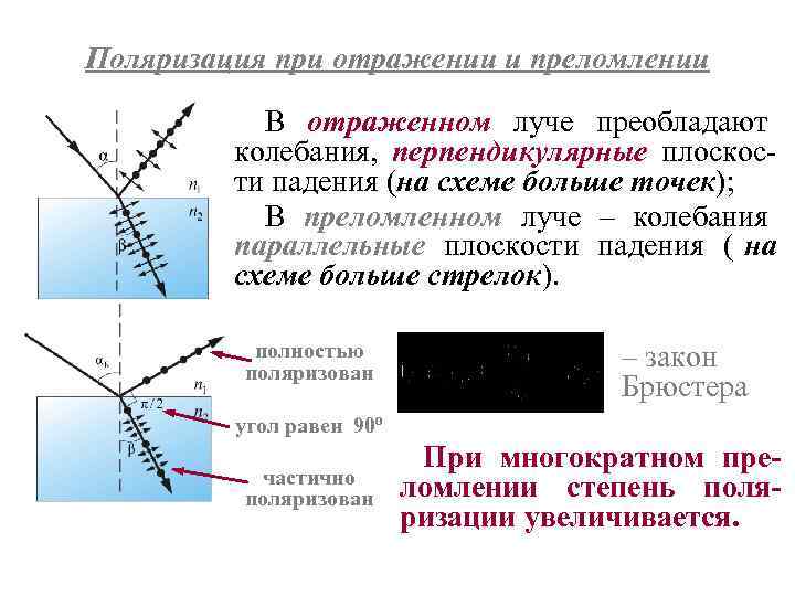 Закон брюстера имеет вид укажите на рисунке поляризацию лучей