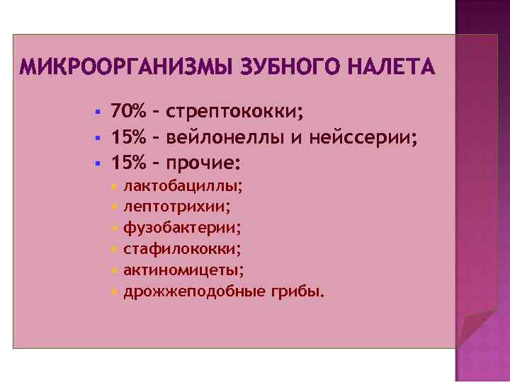 Микрофлора зубного налета микробиология презентация