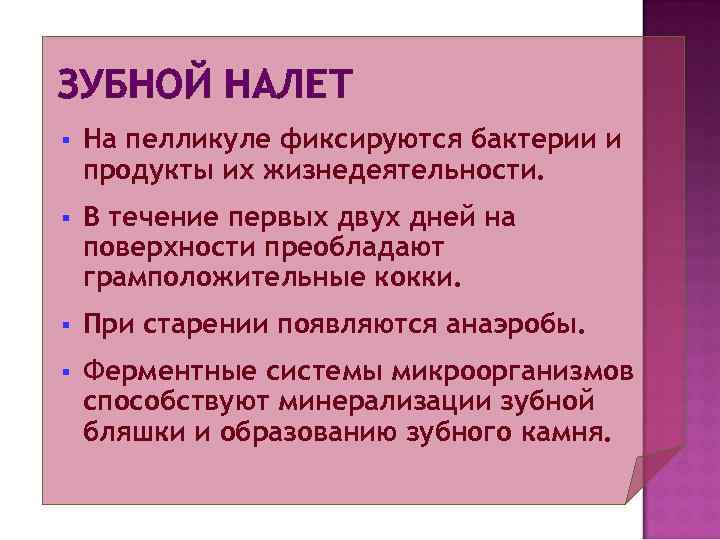 ЗУБНОЙ НАЛЕТ §  На пелликуле фиксируются бактерии и продукты их жизнедеятельности. § 