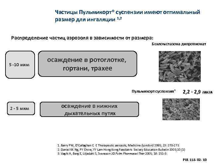    Частицы Пульмикорт® суспензии имеют оптимальный   размер для ингаляции 1,