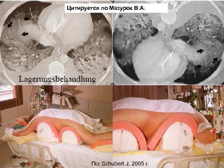 Цитируется по Мазурок В. А.   Мурманск, 2005   44  