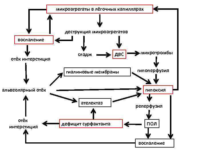      микроагрегаты в лёгочных капиллярах     деструкция