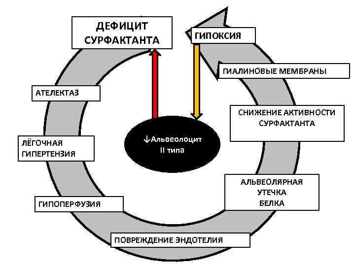     ДЕФИЦИТ       ГИПОКСИЯ  