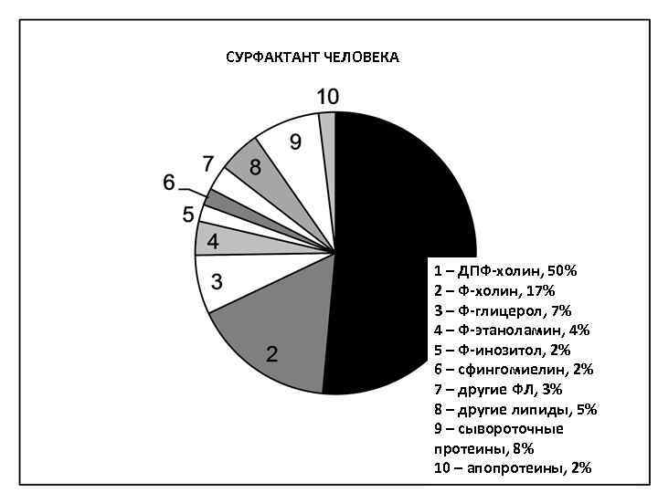 СУРФАКТАНТ ЧЕЛОВЕКА      1 – ДПФ-холин, 50%   