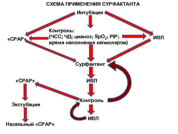    СХЕМА ПРИМЕНЕНИЯ СУРФАКТАНТА    Интубация   Контроль: 