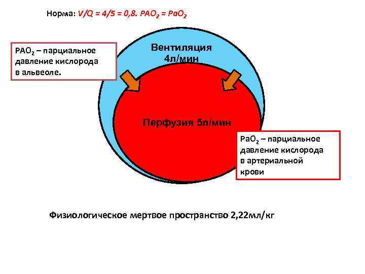 Норма: V/Q = 4/5 = 0, 8. PAO 2 = Pa. O 2