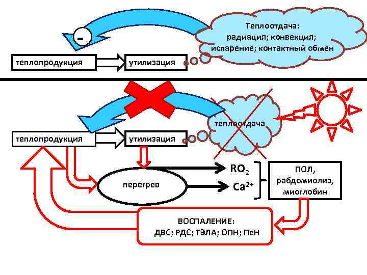 Передача тепла конвекцией. Конвекция и радиация. Радиация теплопродукция. Конвекция и испарение. Печка, конвекция радиация.