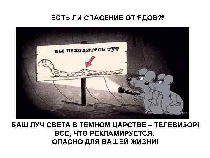 ЕСТЬ ЛИ СПАСЕНИЕ ОТ ЯДОВ? ! ВАШ ЛУЧ СВЕТА В ТЕМНОМ ЕСТЬ ЛИ СПАСЕНИЕ ОТ ЯДОВ? ! ВАШ ЛУЧ СВЕТА В ТЕМНОМ