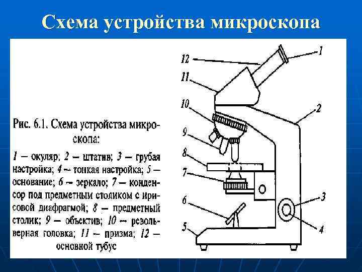 Схема устройства микроскопа 