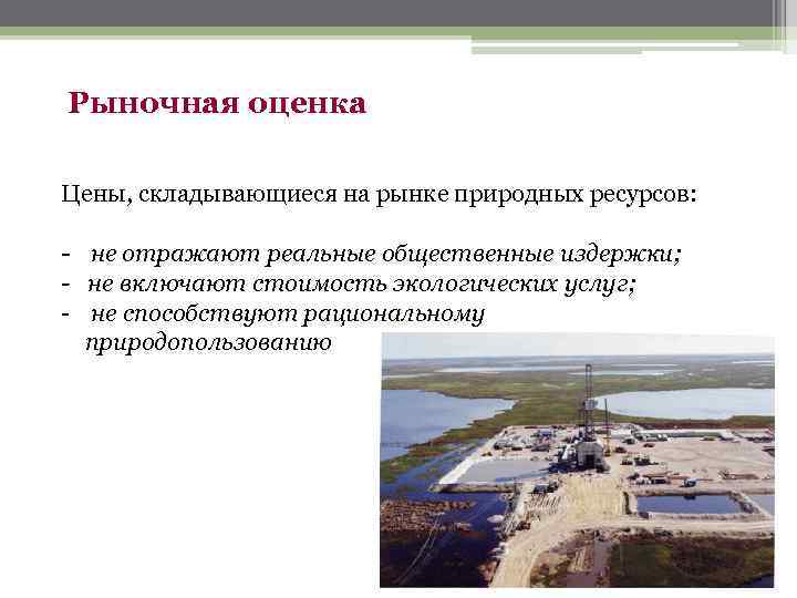 Рыночная оценка Цены, складывающиеся на рынке природных ресурсов:  - не отражают реальные общественные